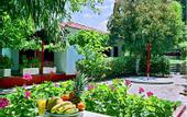 Туры в отель Alykes Park Bungalows & Apartments