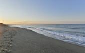 Туры в отель Royal Garden Beach Hotel