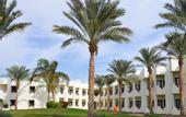 Туры в отель Sharm Resort