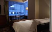 Туры в отель Akasaka Prince