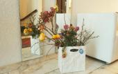 Туры в отель Hotel Deutscher Kaiser
