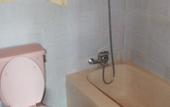 Туры в отель Gunung Merta Bungalows