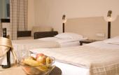 Туры в отель Rhodopi Home Hotel Chepelare