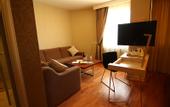 Туры в отель Troya Hotel Taksim