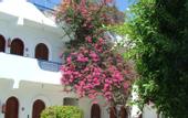 Туры в отель Dahab Plaza Hotel