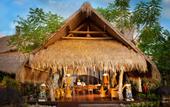 Туры в отель Fivelements Bali