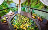 Туры в отель Fivelements Bali