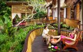 Туры в отель Fivelements Bali