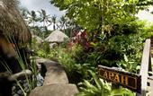 Туры в отель Fivelements Bali