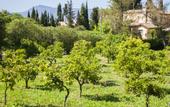 Туры в отель Villa Katia