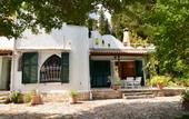 Туры в отель Villa Katia