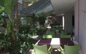 Туры в отель Rosella Apart Hotel