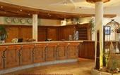 Туры в отель Castello Falkner