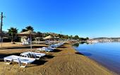 Туры в отель Tropicana Beach Hotel