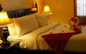 Туры в отель Golden Tulip Stonetown Boutique