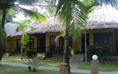 Туры в отель Green Coconut Resort