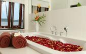 Туры в отель Centra Coconut Beach Resort Samui