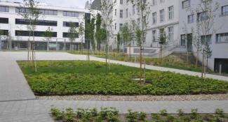 Star Inn Hotel Wien Schonbrunn 3*