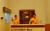 Туры в отель Dendro