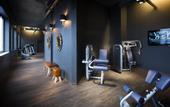 Туры в отель Pentahotel Leipzig