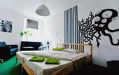 Туры в отель Fredericks Hostel