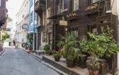 Туры в отель Naz Wooden House Inn
