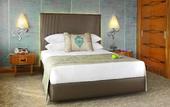 Туры в отель Biz Cevahir Hotel Sultanahmet