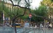 Туры в отель Catalonia Plaza Catalunya (ex. Duques de Bergara)
