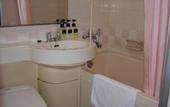 Туры в отель Horidome Villa Hotel Tokyo