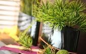 Туры в отель Horidome Villa Hotel Tokyo
