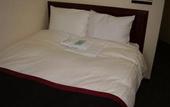 Туры в отель Horidome Villa Hotel Tokyo