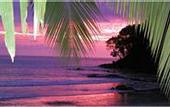 Туры в отель Buena Vista Luxury Villas Manuel Antonio