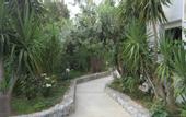 Туры в отель Sandy Beach Hotel Georgioupolis