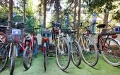 Туры в отель Daphne`s Club Hotel Apartments