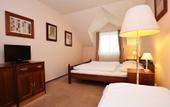 Туры в отель Hotel Vladar Praha