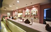 Туры в отель MG Alexander the Great Hotel