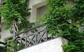 Туры в отель Amuse Hotel