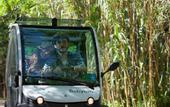 Туры в отель Plana Resort