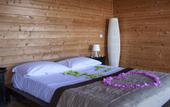 Туры в отель Plana Resort