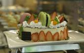 Туры в отель Havana Nha Trang Hotel