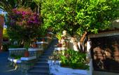 Туры в отель Hotel Terme Castaldi