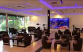 Туры в отель SunSol Isla Caribe