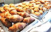 Туры в отель Hotel Parchi del Garda