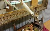 Туры в отель Hotel Adriatica