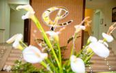 Туры в отель Central Park Hotel