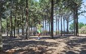 Туры в отель Riva Marina Resort