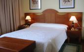 Туры в отель Hotel Izan Cavanna