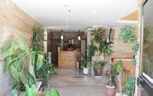 Туры в отель Thomas Hotel