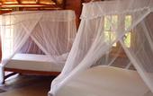 Туры в отель Kirinda Beach Resort