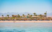 Туры в отель Movenpick Resort Soma Bay